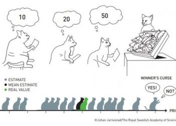 미인대회 같던 ‘주파수 경쟁’ 바꾼 美학자들, 노벨 경제학상