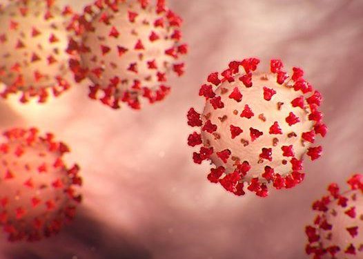 미국 델타변이 정점 지났나…한달새 확진자 증가폭 8분1로 ‘뚝’