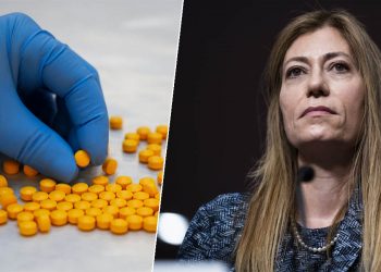 국경서 적발된 펜타닐, 사상 처음으로 헤로인 추월