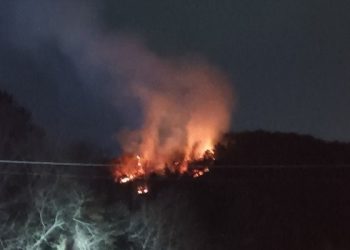 여수 야산서 산불 2시간 6분만에 완진…0.3㏊ 불에 타