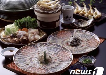 ‘비전문가 복어요리’ 먹고 4명 의식불명 후 회복…”확인 후 섭취를”