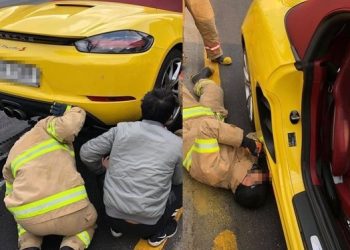 길고양이 구출하려고…수억짜리 포르쉐 차체 뜯어낸 차주