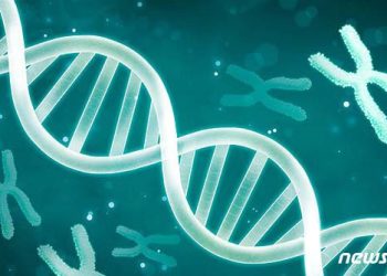 70년만에 ‘인간 유전체’ 30억쌍 해독 완성…유전병 치료에 ‘새 빛