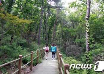 ‘신록의 계절’ 집에서 직장서도 산림욕 가능?
