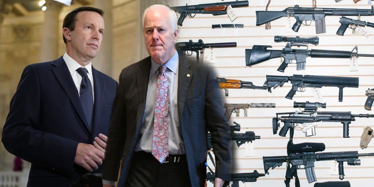 연방 상원의원들, 초당적 총기규제법안 합의