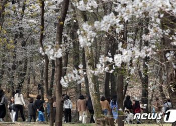 “매주 1~2일 하루 8000보 이상 걸으면 심장병 사망 위험 8.1%↓”-美·日 연구팀