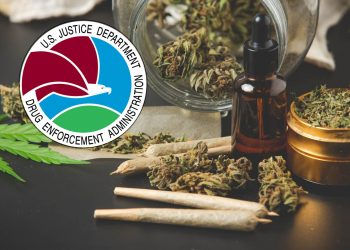 美보건당국, 대마 ‘저위험 약물’ 분류 권고…합법화로 향하나