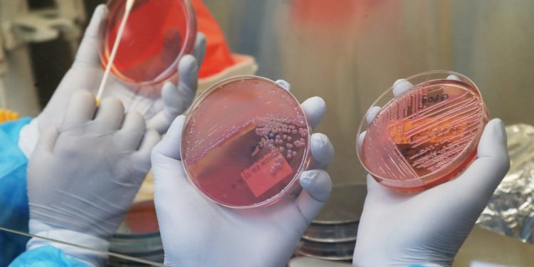 수천명 탄 美 크루즈서 집단 노로바이러스 감염…”멕시코산 굴 의심”