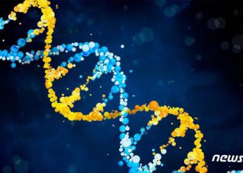 사람마다 다른 ‘체질’ 반영한 ‘정밀 의료’ 다가온다