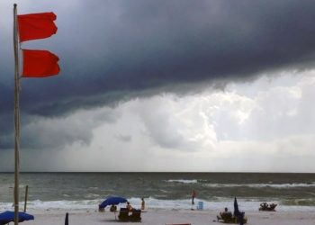 “문제는 사람들이 이 깃발이 뭔지 모른다는 거에요!”