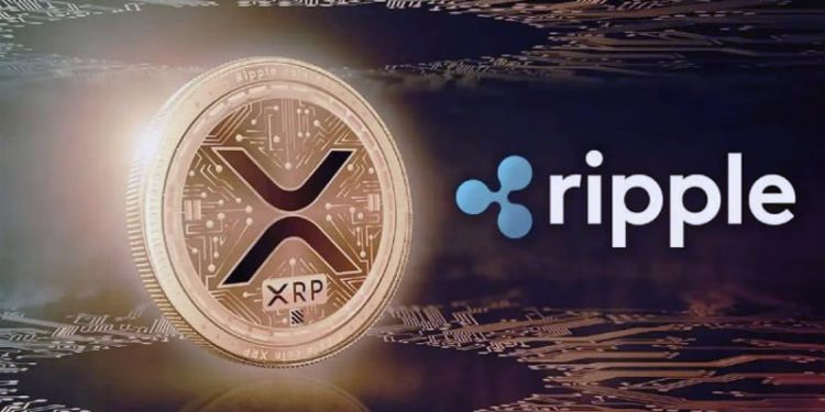 2달러 뚫은 리플, 5달러 넘을 수도…리플 CEO, 암호화폐 차르 물망