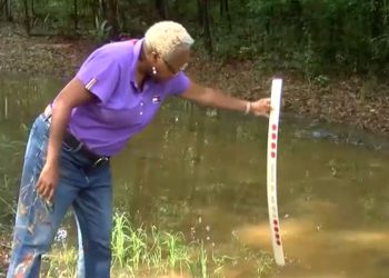 몽고메리 지역 배수 문제 해결 방안은…