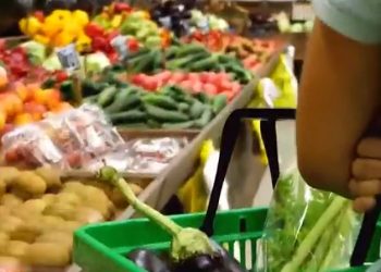 SNAP 비용 주 정부로 이전될 경우 앨라배마는 3억 달러 부담