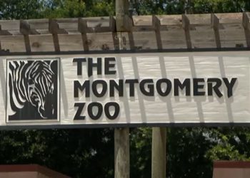 몽고메리 동물원, 신규 입구 공사 지연