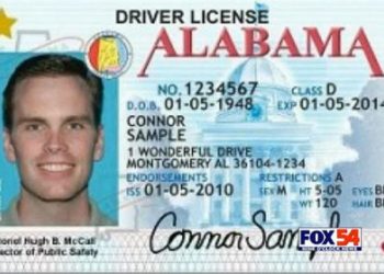 “70세 이상 고령운전자 면허 갱신 대폭 강화는 가짜뉴스”