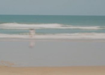 앨라배마 해변서 대규모 코카인 발견