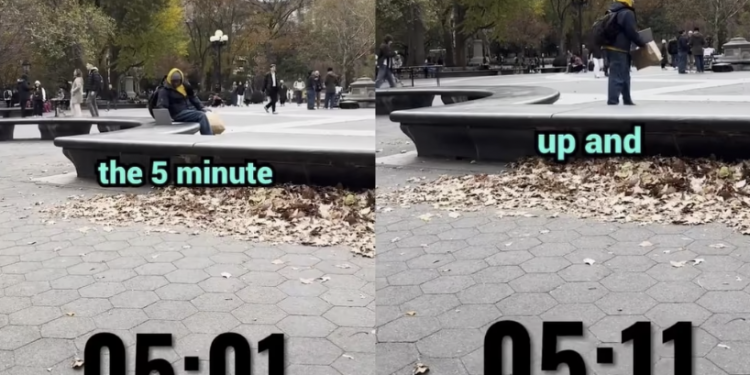 뉴욕 공원에 새 노트북 방치하자 5분 만에 도난… 사회실험 영상 화제