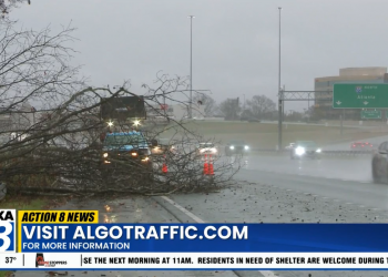 주말 폭풍 직격탄…쓰러진 나무·전선에 앨라배마 곳곳 도로 마비
