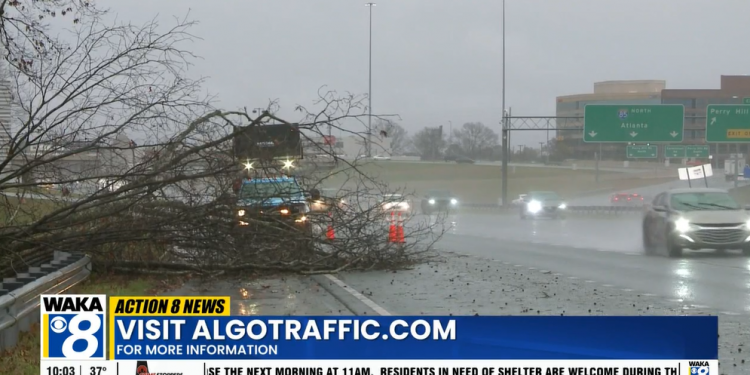 주말 폭풍 직격탄…쓰러진 나무·전선에 앨라배마 곳곳 도로 마비