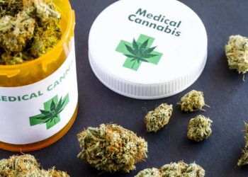 의사들 드디어 신청 가능…앨라배마 의료용 대마 ‘본격 가동’