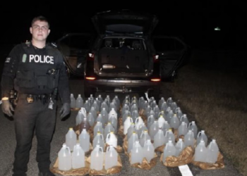 교통단속에 들통…차 안에서 밀주 81갤런 쏟아졌다