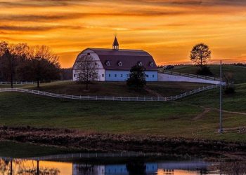 앨라배마 ‘명소 농장’, 1100만달러로 대변신