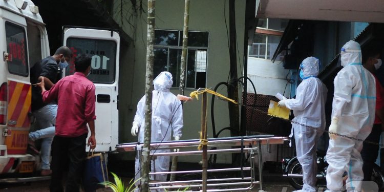 치명률 최대 75% 니파 바이러스 공포…인도 “확산 이미 차단됐다”