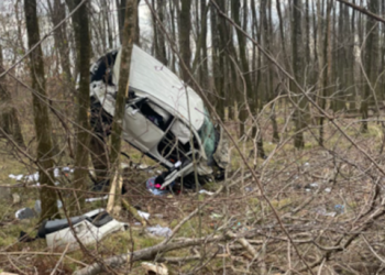 후추 스프레이로 치킨 털고 카지노 직행