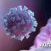 코로나19 항체치료제 개발 속도내자 미국 내 공급 부족 우려