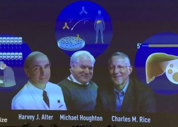 노벨 생리의학상에 알터·라이스·호턴 3人…C형간염 규명, 수백만명 살려