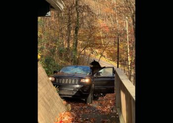 달콤한 신혼여행 중 ‘불청객’