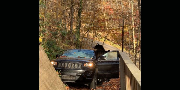 달콤한 신혼여행 중 ‘불청객’