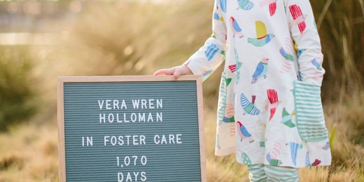 앨라배마 입양 3년 연속 신기록