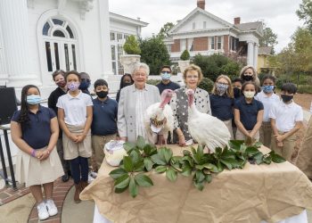 아이비 주지사 칠면조 두 마리 사면