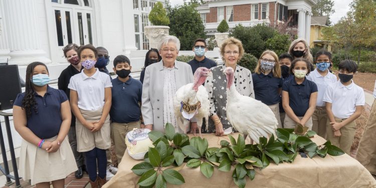 아이비 주지사 칠면조 두 마리 사면