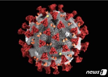 JP모간체이스 “미국 경제, 내년 1분기 1% 위축 가능성”