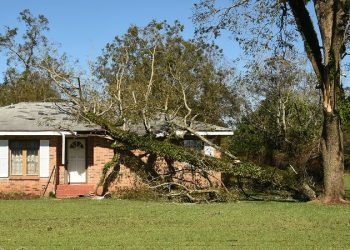 앨라배마 2만3천 가구, 아직 정전중