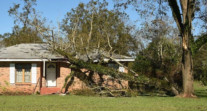 앨라배마 2만3천 가구, 아직 정전중