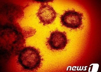 고틀립 전FDA국장 “영국발 변이 미국에 이미 유입됐을 것”