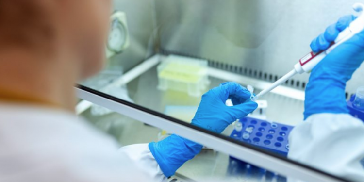 누가 앨라배마에서 최우선적으로 Covid 19 백신접종을 하게 될까?