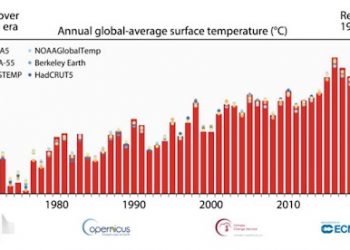 “2020년, 펄펄 끓었다”…산업혁명 이후 가장 더웠던 해