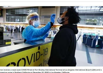 플로리다 등 3개주 영국발 변이바이스 발견