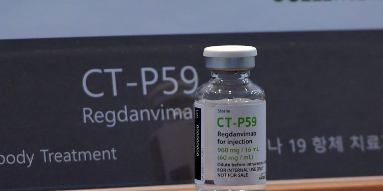 릴리 항체치료제, 코로나19 예방에도 효과…셀트리온에 쏠리는 눈