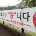 “아범아 오지 마라”…이번 설 명절도 비대면이 대세