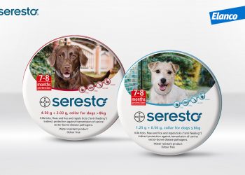 세레스토 진드기 목걸이 찬 개들 폐사?…”인과관계 검증 안 돼”