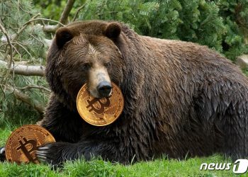 비트코인 폭락 진짜 이유는 해외계좌 강제 청산 때문