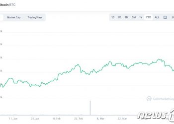 최근 비트코인 급락으로 머스크 시한폭탄 안게 돼