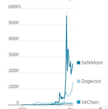 WSJ “제2의 도지코인 찾기 열풍에 ‘세이프문’ 급부상”