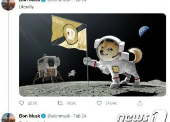 ‘도지코인 교주’ 머스크, 최소 5차례 도지코인 폭등시켜