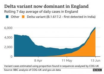 백신접종 느린 앨라배마, 델타변이 안전한가